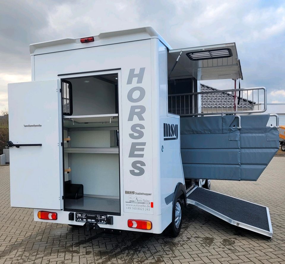Pferdetransporter für 2 Pferde mit viel Nutzlast 3500kg MSG 2-er in Göttingen