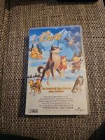 Balto ein Hund mit dem Herzen eines Helden VHS Bayern - Bogen Niederbay Vorschau