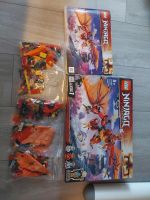 Lego ninjago fire dragon attack 71753 Vollständig OVP Rheinland-Pfalz - Ludwigshafen Vorschau