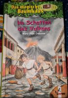 Kinderbuch Das magische Baumhaus 13 Niedersachsen - Detern Vorschau