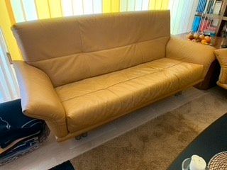 Rolf Benz Couch, 2-Sitzer und 3-Sitzer, echt Leder, gelb in Meckesheim