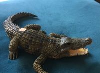 Tiptoi Krokodil,  wie neu keine Gebrauchsspuren zu erkennen Niedersachsen - Friesoythe Vorschau