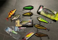 Jerkbait Swimbait Paket Buster CWC Rapala Zeck Chasebaits Hessen - Stadtallendorf Vorschau