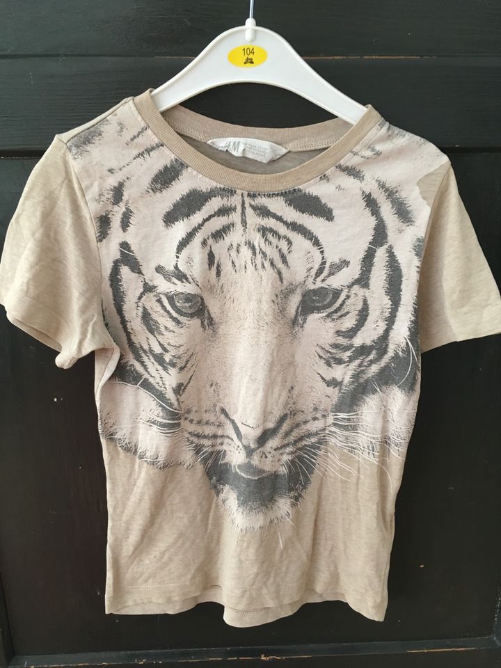 H&M T-Shirt Tiger Sommer Dschungel Löwe Tier Safari 116 in Köln