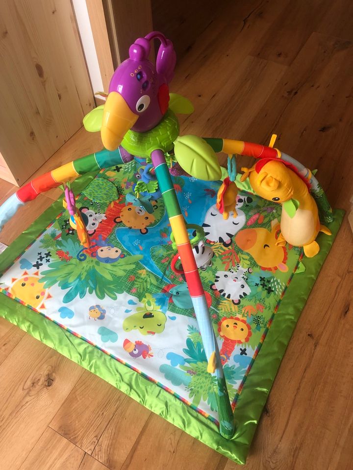 Fisher Price Rainforest Spielbogen Activity Erlebnisdecke in Freystadt