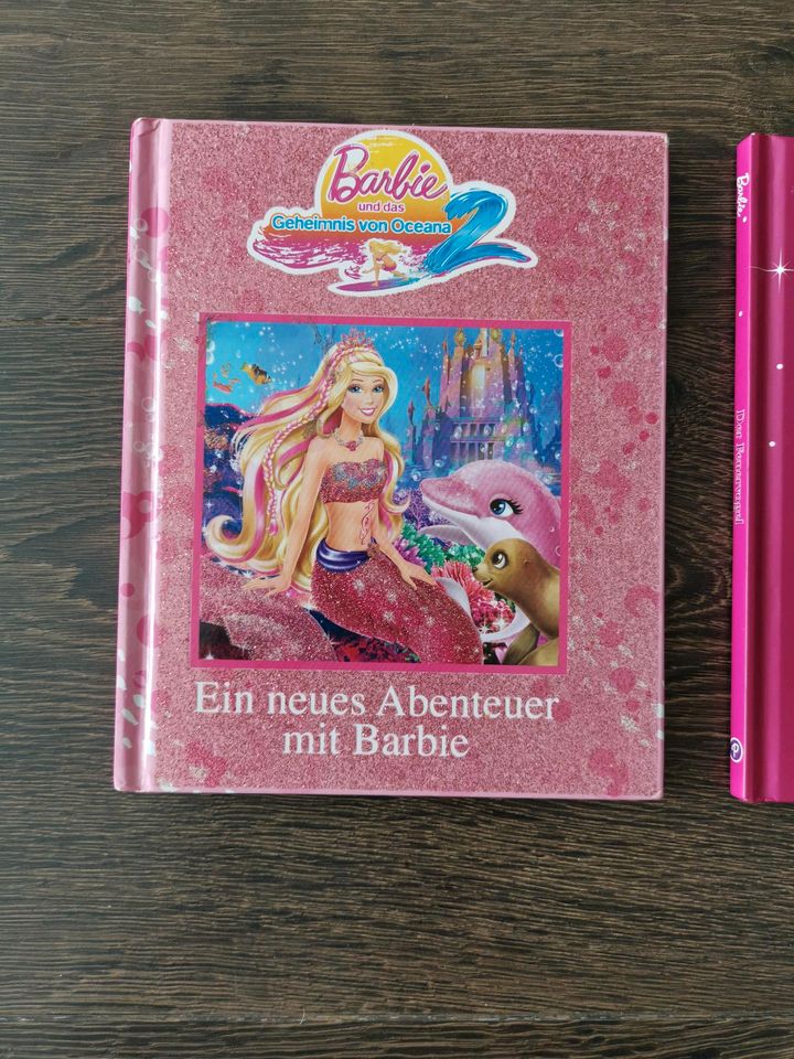 2x Barbie Bücher Geheimnis von Oceana + der Feuervogel in Gifhorn