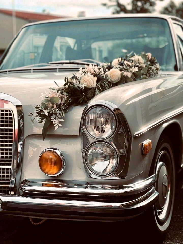 Hochzeitsauto- Oldtimer mieten, Mercedes W108, Nabburg-Regensburg in Nabburg