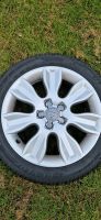 Originale Audi Felgen inkl dunlop reifen Hessen - Bad Homburg Vorschau