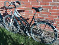 Damen-Fahrrad Trekking 28 Zoll - Verschleißteile zu erneuern Niedersachsen - Pattensen Vorschau