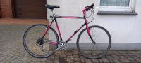 Kuwahara Pacer Vintage Herren Fahrrad Nordrhein-Westfalen - Halle (Westfalen) Vorschau