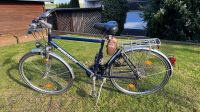 Fahrrad Pegasus Laola 28 Zoll in Blau aus Alu - Herrenrad Hessen - Schwalmtal Vorschau