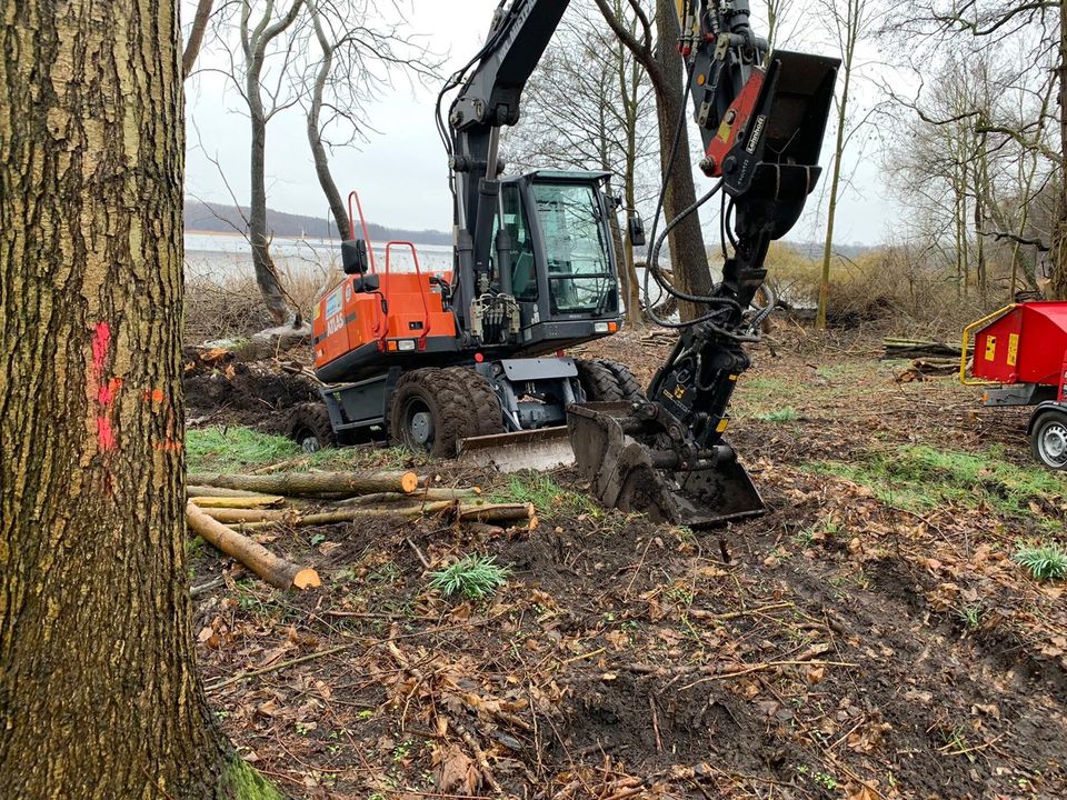 Minibagger Bagger Radlader Baumaschinen Mieten Leihen Vermieten in Storkow (Mark)