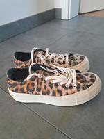 Converse Chucks Plateau Bold Leo Gr 37 Hessen - Karben Vorschau