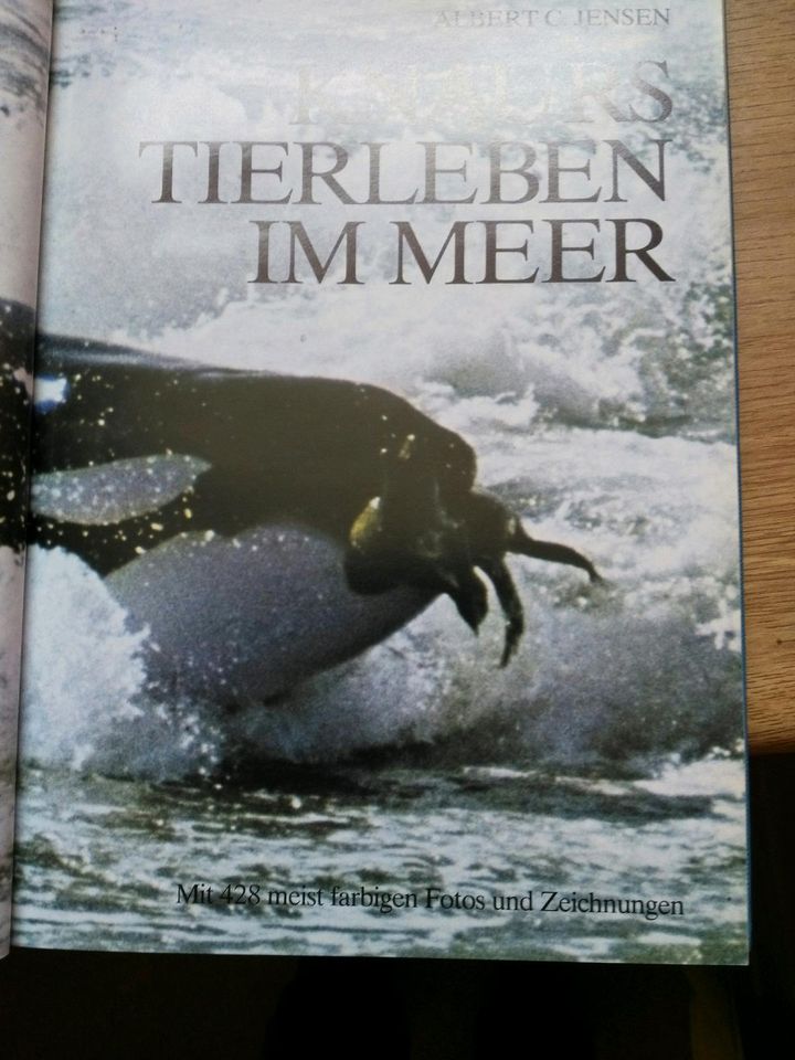 Knaurs Tierleben für Kinder und Fotoalben in Großenlüder