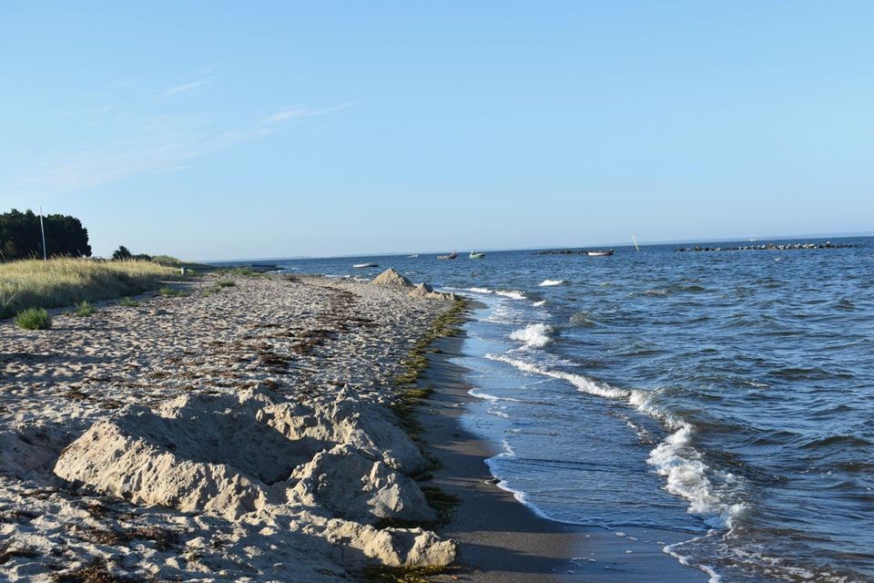 Last Minute Hundeurlaub-Ferienwohnung direkt an der Ostsee-Rügen in Thiessow