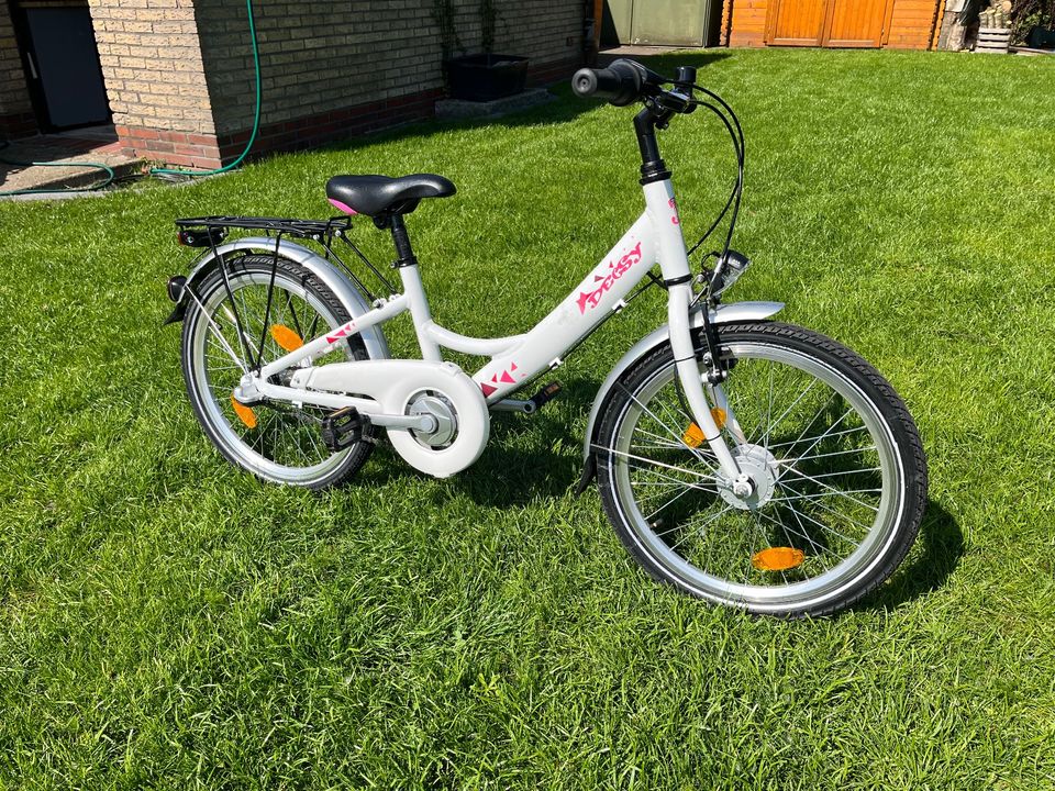 Kinderfahrrad 20 Zoll Decsy weiß pink in Edewecht