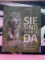 Sie sind wieder da - Bär, Luchs und Wolf erleben - Kosmos Nordrhein-Westfalen - Radevormwald Vorschau
