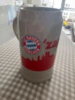 Maßkrug FC Bayern München 1,0 l Hessen - Gießen Vorschau