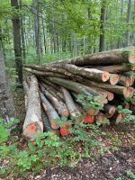 Brennholz Buche Baden-Württemberg - Blumberg Vorschau