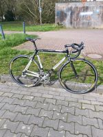 COLNAGO DREAM, Rennrad, rh 56, shimano dura ace 7700. Niedersachsen - Wilhelmshaven Vorschau