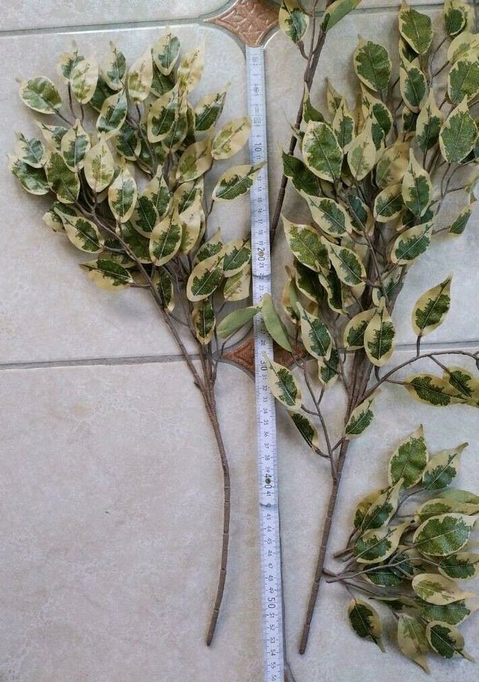 Künstliche Ficus benjamini Blätter zum basteln in Leipzig