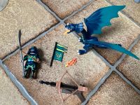 Playmobil Dragons Set 5484 Nordrhein-Westfalen - Hennef (Sieg) Vorschau