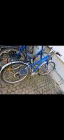 Fahrrad Jugendfahrrad 26 Zoll Obergiesing-Fasangarten - Obergiesing Vorschau