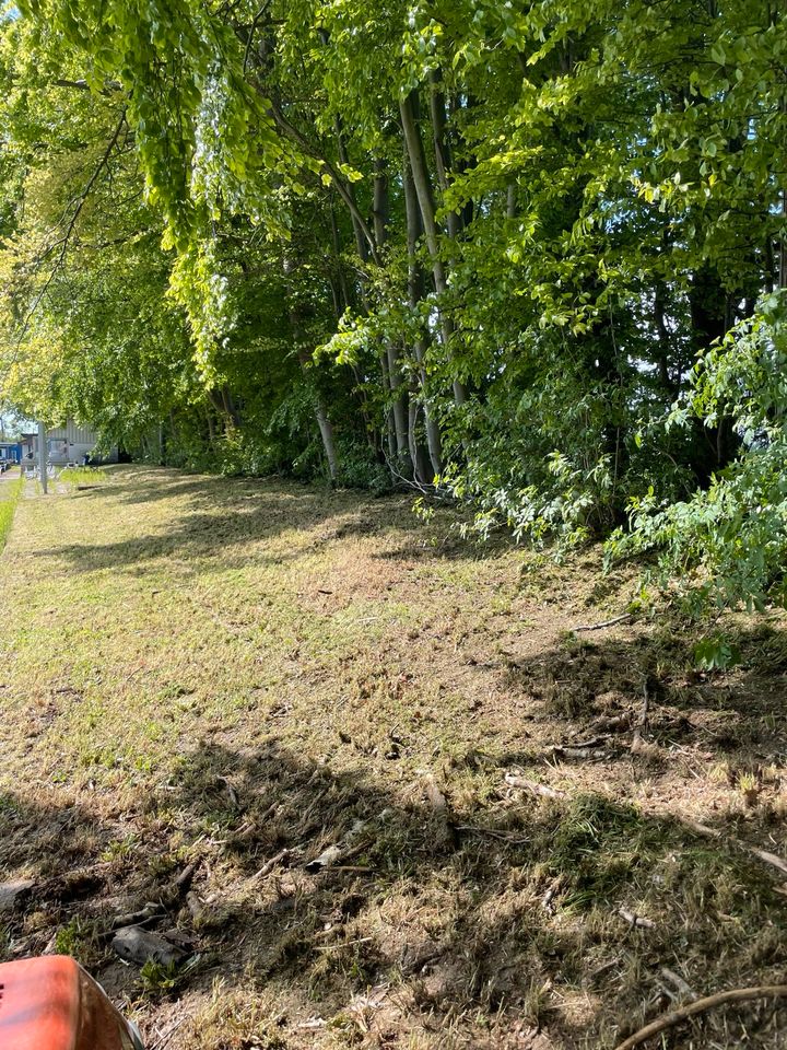 Hecken schneiden /Rasen mähen in Pattensen