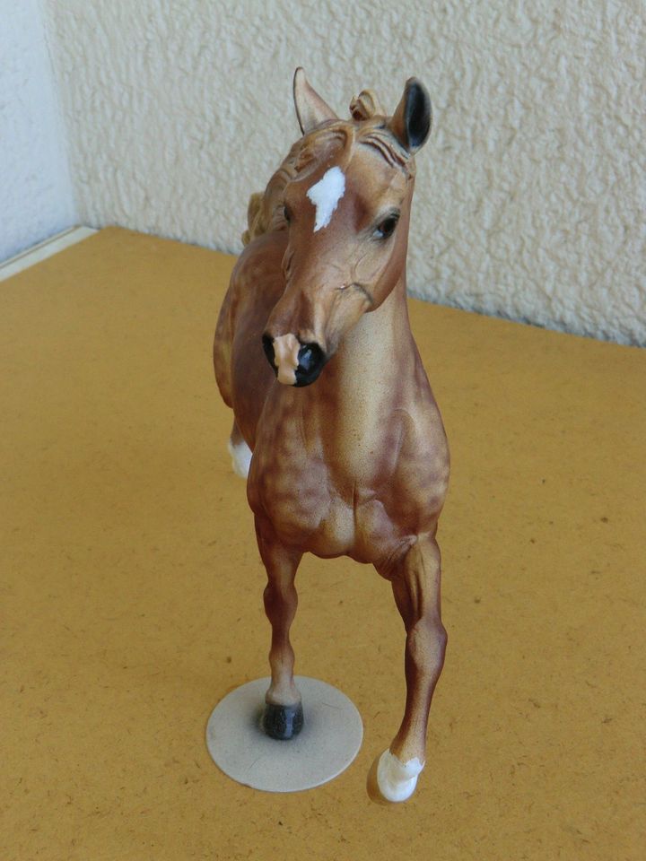 MoDELLPFERD BREYER ARAB HUCKL BEY dappl FUCHS CM JCLAUS USA LSQ S in Oberursel (Taunus)