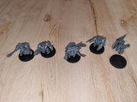 Warhammer 40k Space Marines Space Wolfes Terminatoren Wolfsgarde Schleswig-Holstein - Preetz Vorschau