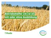 ☀️ Betriebshelfer [m|w|d] für die Landwirtschaft ☀️ Niedersachsen - Hude (Oldenburg) Vorschau
