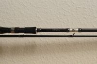 Angelrute Daiwa TD Pitch Black 8' 120g Casting Sachsen-Anhalt - Halle Vorschau