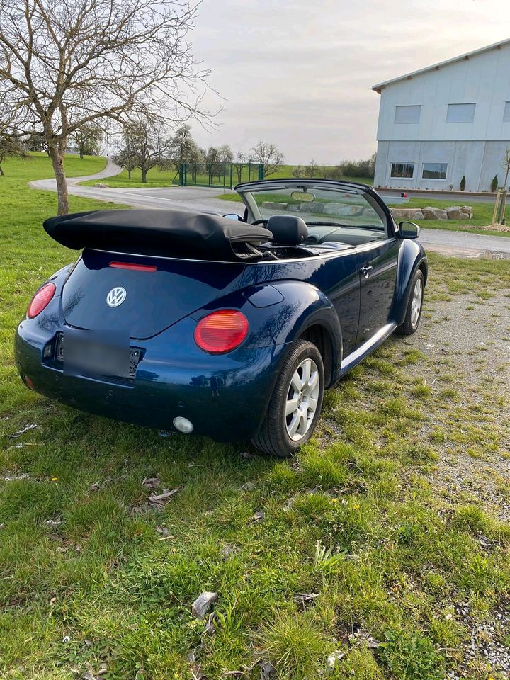 Vw beetle cabrio in Horb am Neckar