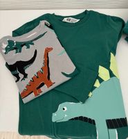 Dinosaurier Hosen-Shirt Set Baden-Württemberg - Magstadt Vorschau