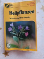Buch über Heilpflanzen Niedersachsen - Wittorf Vorschau