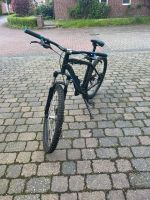 Mtb Mountainbike Fahrrad Nordrhein-Westfalen - Metelen Vorschau