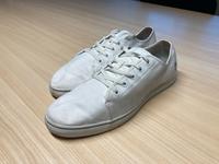 Timberland Sneakers Größe 46 Baden-Württemberg - Esslingen Vorschau