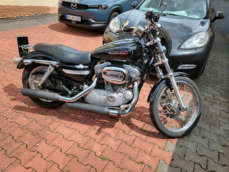 Harley Davidson 883 Sportler,Top Zustand. in Roxheim