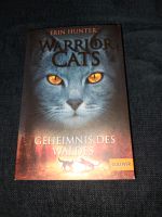 Kinderbuch: Warrior Cats Aachen - Aachen-Soers Vorschau