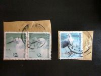 3 Briefmarken Hong Kong Cina,gestempelt, Vögel Jahrgang 2006 Nordrhein-Westfalen - Warburg Vorschau