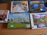 Puzzle 1000 Teile zu verkaufen Thüringen - Krayenberggemeinde Vorschau