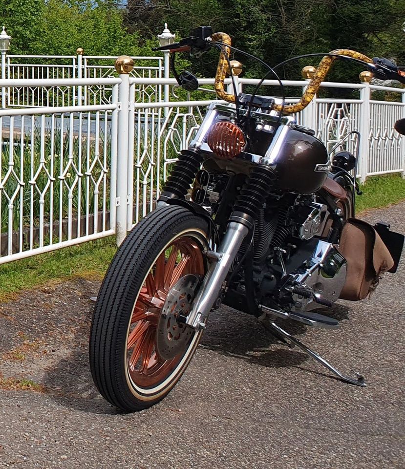 Harley-Davidson Softail in Lauf