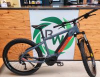 E-Bike Ghost E-Teru Essential Bayern - Illertissen Vorschau