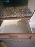 Fluval aquarium cube an mit unterschrank 57 Liter Nordrhein-Westfalen - Gelsenkirchen Vorschau