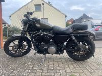 Harley Davinson XL883 Iron Niedersachsen - Neustadt am Rübenberge Vorschau