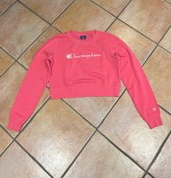 Damen Champion Pullover, pink, Größe L Nordrhein-Westfalen - Kürten Vorschau