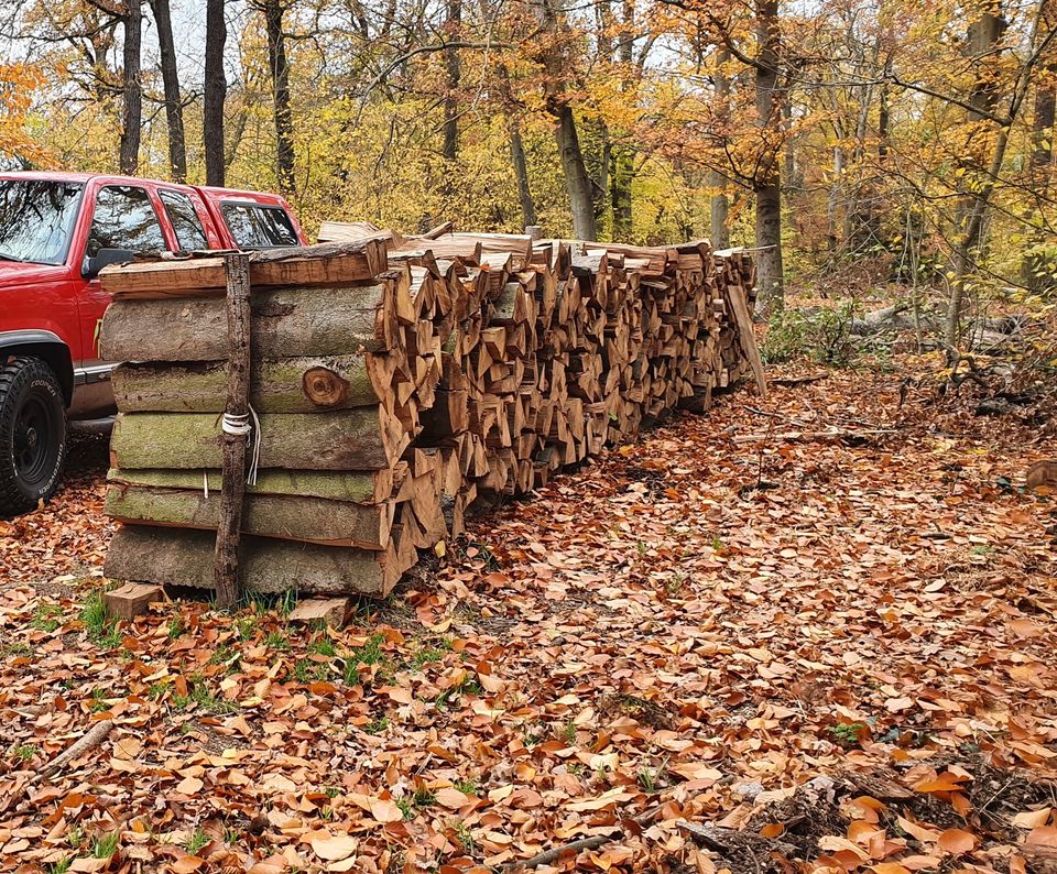 Kaminholz Brennholz Stammholz Eiche RM 124,00€ in Berlin