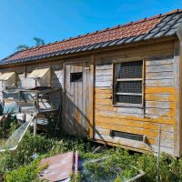 Taubenstall / Voliere / Hühnerstall / Taubenschlag 2 x 7 m Rostock - Nienhagen Vorschau