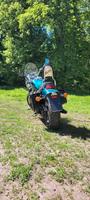 Honda Shadow 600 Mecklenburg-Strelitz - Landkreis - Woldegk Vorschau