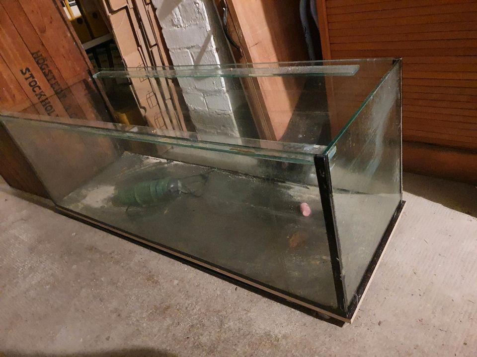 Großes !! Aquarium Terrarium 120 x 40 cm mit Schienen in Oberursel (Taunus)